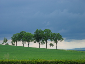 IMG_0679.JPG